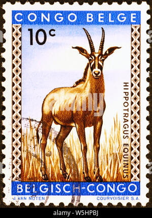 Antilope auf Briefmarke der belgischen Kongo Stockfoto