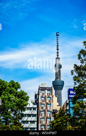 Tokyo, Japan - 11. Mai 2019: toller Blick auf den Himmel Baum nahe Sensoji Schrein. Sensoji ist Asakusa die Hauptattraktion, ein sehr populärer buddhistischer Tempel. Stockfoto
