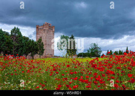 Castillo De La Mota, Medina del Campo, Castilla y León, Spanien Stockfoto