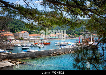 Donje Celo, Insel Kolocep, Elaphiti-Inseln, Dubrovnik, Kroatien Stockfoto