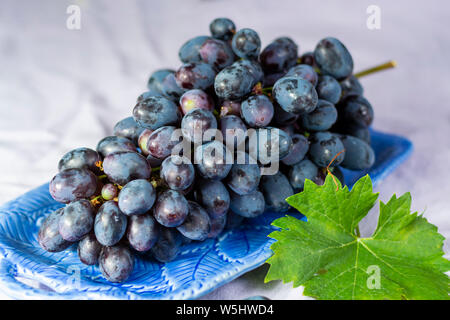 Bündel von Reifen blau-schwarz Tafeltrauben mit Blatt auf blauen Platte als süsse Frucht Dessert Stockfoto