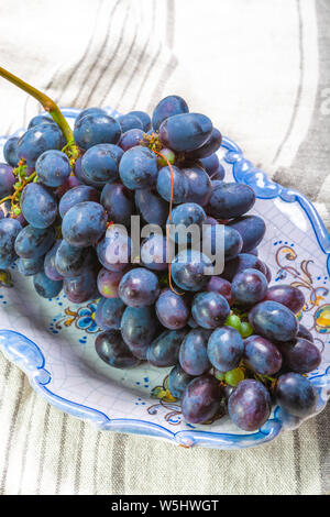 Bündel von Reifen blau-schwarz Tafeltrauben mit Blatt auf blauen Platte als süsse Frucht Dessert Stockfoto