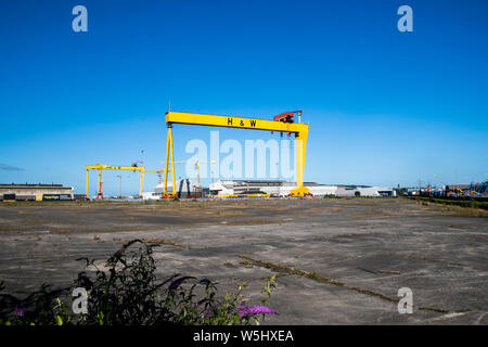 Samson und Goliath, die zwei Schiffbaukrane, die sich in der Harland & Wolff Werft auf Queen's Island, Belfast, Nordirland, befinden. Dienstag, 23. Juli. Stockfoto