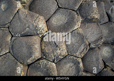 Giant's Causeway in Land Antrim, Nordirland Stockfoto