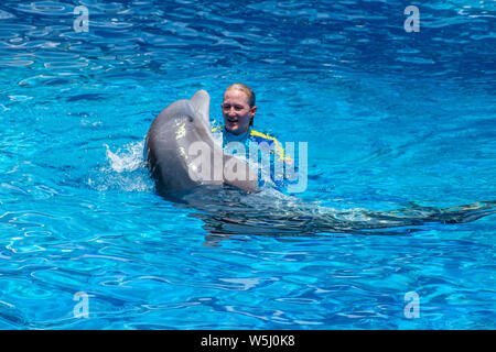 Orlando, Florida. Juli 18, 2019. Frau Trainer Schwimmen mit Delphin in Seaworld Stockfoto