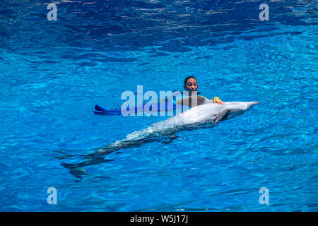 Orlando, Florida. Juli 18, 2019. Frau Trainer Schwimmen mit Delphin in Seaworld Stockfoto