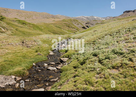 Sierra Nevada, Arroyo San Juan, Wasserstrahl in der Sommersaison. Bei 2500 m altutude, Granada, Andalusien, Spanien. Stockfoto