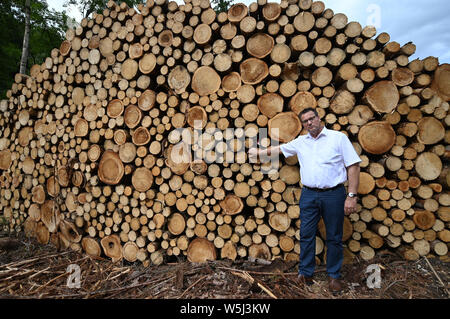 Waldshut Tiengen, Deutschland. 29. Juli, 2019. Wald Minister Peter Hauk (CDU) steht vor der abgeholzten Baumstämme durch den Borkenkäfer befallen. Hauk hat auf Waldbesitzer aufgerufen, ihren Kampf gegen die Borkenkäfer zu intensivieren. Sie haben jetzt ihre Hitze-geschädigten Wälder wöchentlich zu prüfen. Quelle: Patrick Seeger/dpa/Alamy leben Nachrichten Stockfoto