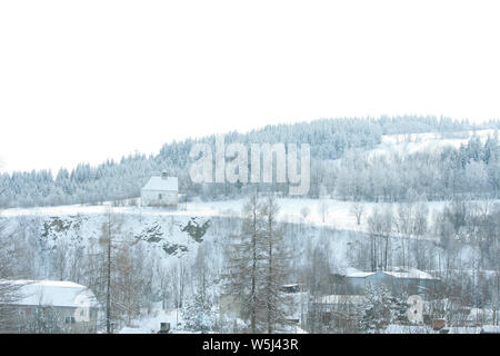 Schöne Bergwald mit viel Schnee im Winter Stockfoto