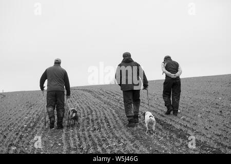 Wildhüter und ein Schläger zu Fuß zum Start der nächsten Fahrt auf einem Fasan Schießen Stockfoto