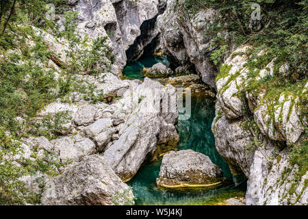 Italien Friaul Naturpark forraof der torrent Cellina Stockfoto