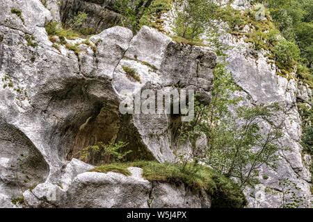 Italien Friaul Naturpark forraof der torrent Cellina Stockfoto