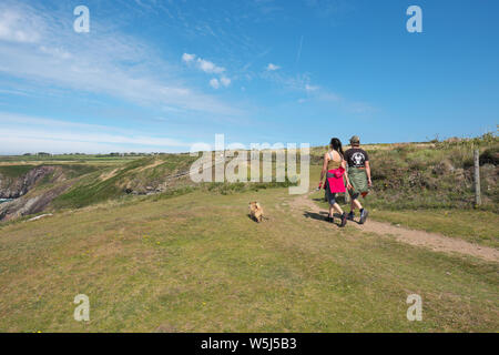 Wanderer auf dem Pembrokeshire Coast Path in der Nähe von Caefai Bay, St Davids, Wales im Sommer Juli 2019 Stockfoto