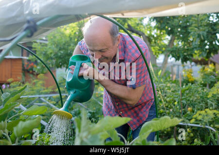 Portrait von älteren Mann Bewässerung von Pflanzen im ländlichen Garten Stockfoto