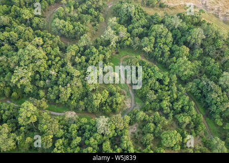 Üppig grüne Laub an den Ufern des Mara River in der Masai Mara, Kenia. Birds Eye View drone erschossen. Stockfoto