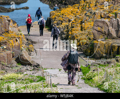 Mann mit großen Wildlife Fotografie Kamera zu Fuß zum Hafen, Insel, Schottland, UK Stockfoto