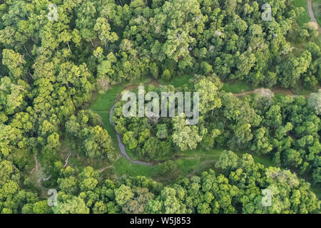 Üppig grüne Laub an den Ufern des Mara River in der Masai Mara, Kenia. Birds Eye View drone erschossen. Stockfoto