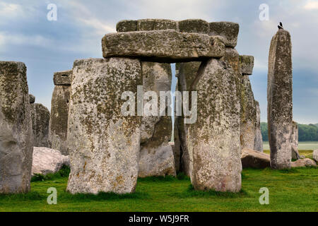 Hoch stehende Steine von Stonehenge prähistorische Steinkreis Ruinen mit Vögel auf Salisbury Plain in Wiltshire England an der ersten Ampel sunrise Stockfoto