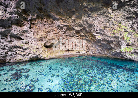 Los Tres Ojos - Serie von drei Seen in Kalkstein Höhle in Santo Domingo, Dominikanische Republik Stockfoto