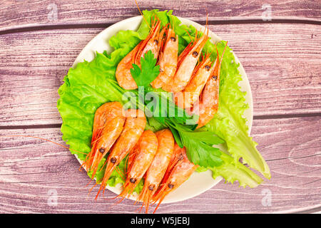 Gekochte Garnelen Atlantik serviert mit Petersilie und Zitrone Salat. Stockfoto