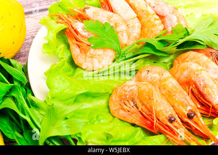 Gekochte Garnelen Atlantik serviert mit Petersilie und Zitrone Salat. Stockfoto