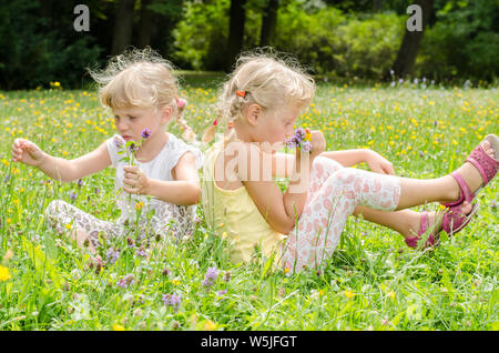 Schöne blonde Mädchen auf Wiese Stockfoto