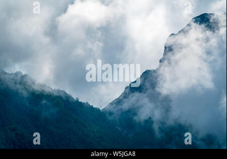 Hohe Berge mit bewaldeten Hängen und Gipfeln in den Wolken versteckt. Starker Nebel in den Bergen an einem bewölkten Tag. Stockfoto