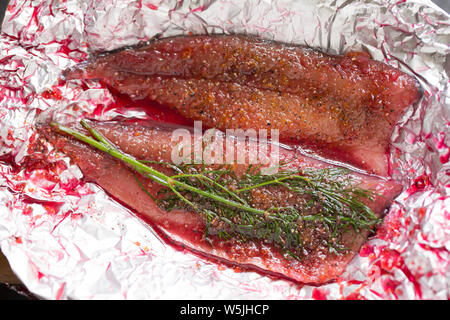 Ganze rohe Makrelen, die verwendet wurden, Graved Lachs, oder gefarmte zu machen. Sie sind hier bereit für das Schneiden nach dem tinfoi gewickelt wurde, Stockfoto