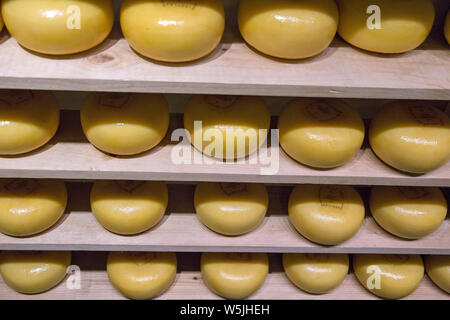 Käse im Verkauf bei Volendam Käserei in der Nähe von Amsterdam, Holland. Stockfoto