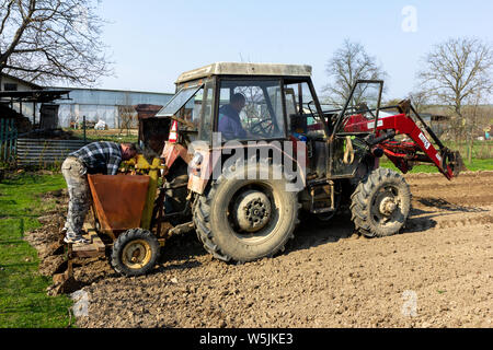 Zwei Männer Aussaat junge Kartoffeln mit Hilfe eines Traktors in ländlichen Gebieten der Slowakei. Stockfoto