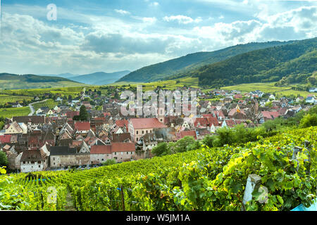 Landschaft panorama Weindorf Riquewihr am Fuße der Vogesen, Elsass, Weinstraße, touristischen Destination zwischen Weinbergen, Frankreich Stockfoto