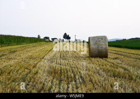 Heu Rollen in einem einsamen Feld. Stockfoto