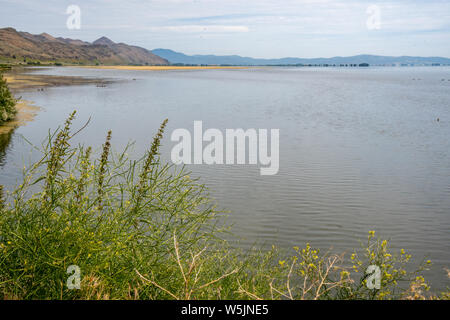 Blick auf die tule Lake National Wildlife Refuge in Nordkalifornien Stockfoto