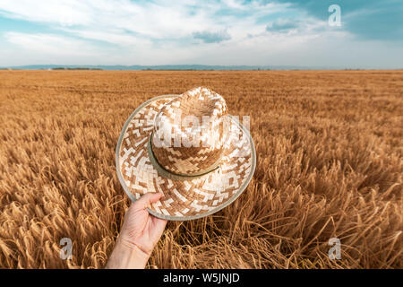 Fröhliche zufrieden Bauer Holding Strohhut im Freien in Feldern. Glücklicher Mann seinen Hut hoch heben Nach dem erfolgreichen landwirtschaftlichen Saison. Stockfoto