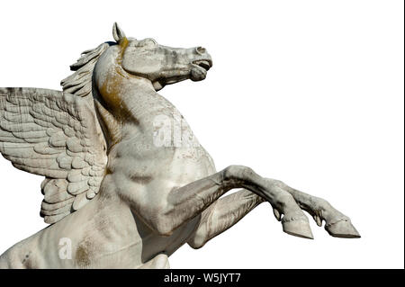 Florenz, Italien - 18 Juli 2017: Pegasus Statue, durch Aristodemo Costoli (1865). Auf weissem Hintergrund. Es ist in der Boboli Garten befindet. Stockfoto