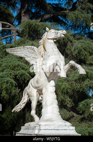 Florenz, Italien - 18 Juli 2017: Pegasus Statue, durch Aristodemo Costoli (1865). Es ist in der Boboli Garten befindet. Stockfoto