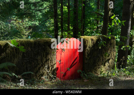 Oder: Lane County, Coast Range, Hwy 36 Flur, Deadwood Creek Gegend. Rotes Tor in einem Stone Fence bedeckt mit Moos, die in einen Wald Stockfoto