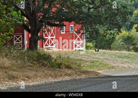 Oder: Benton Region, Willamette Valley, Hwy 99 W Korridor, William Finlay National Wildlife Refuge. Rote Scheune durch eine Schotterstraße Stockfoto