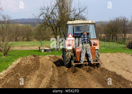 Zwei Männer Aussaat junge Kartoffeln mit Hilfe eines Traktors in ländlichen Gebieten der Slowakei. Stockfoto