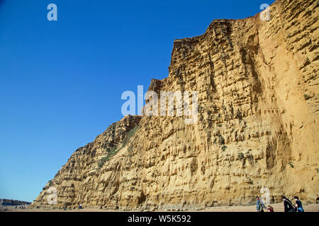 Goldene Klippen bei Burton Bradstock, Dorset, England Stockfoto