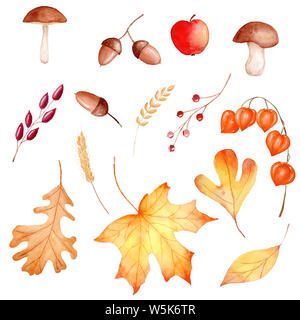 Herbst Wald flora Aquarell raster Illustrationen. Pilze, Früchte und Beeren, Eicheln, Weizen Ohren. Ernte-, Lebensmittel- und chemische orange Laub Stockfoto
