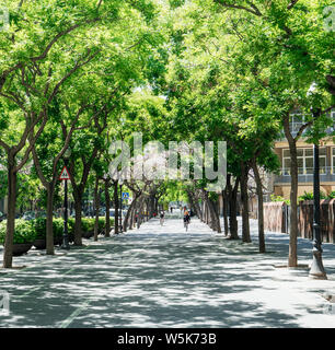 Barcelona, Spanien - Jun 1, 2018: Fußgänger auf die Straße gehen und radfahren Av. de les Drassanes mit mehreren Grüner Baum mit Schatten an einem warmen Sommertag Stockfoto