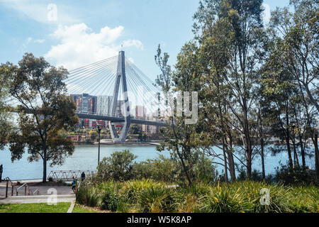 Anzac Bridge in Sydney spanning Johnstons Bay zwischen Pyrmont und Glebe. Von Glebe mit dem Sydney CBD im Hintergrund. Stockfoto