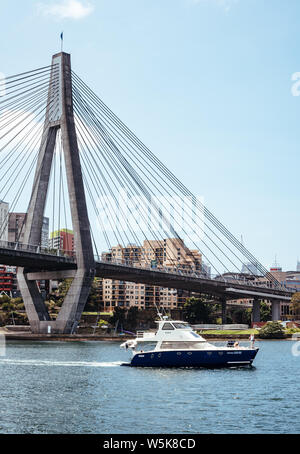 Anzac Bridge in Sydney spanning Johnstons Bay zwischen Pyrmont und Glebe. Von Glebe mit dem Sydney CBD im Hintergrund. Stockfoto