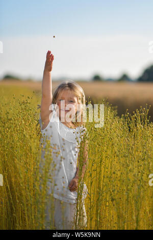 Ein Mädchen in einem weißen Kleid in einem Feld von Flachs Stockfoto