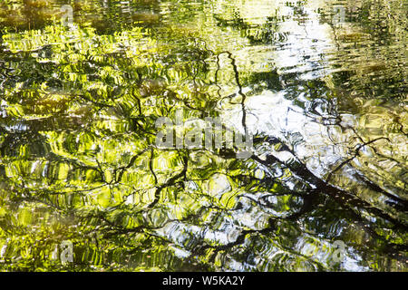 Dappled Spiegelungen der Bäume auf dem Wasser an einem sonnigen Tag. Stockfoto