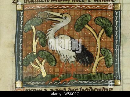 Cyconia (Storch) - "Der Naturen bloeme - Jacob van Maerlant-KB KA 16-080 r a 1. Stockfoto