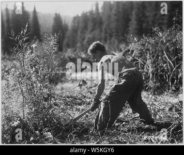 Civilian Conservation Corps, Boise in Idaho National Forest Stockfoto