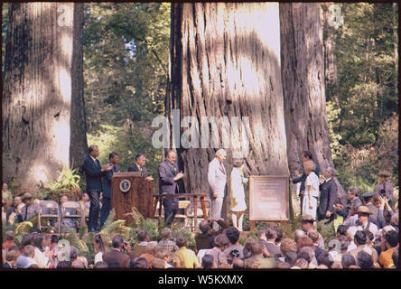 Engagement von Lady Bird Johnson Grove im Redwood National Park, Kalifornien; Umfang und Inhalt: Im Bild: (neben Plaque) Herr und Frau Lyndon B. Johnson und Präsident und Frau Nixon. Betrifft: Past Präsident. Stockfoto