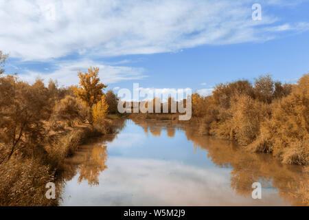 Tejo in Spanien mit gelben Blatt Bäume am Ufer. Herbst Landschaft Stockfoto